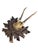 1900 - 1909 Roe Deer Trophy 230 Black Forest Antlers For Sale - Image 5 of 5