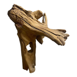 Vintage Driftwood Tabletop Abstract Sculpture 70s Organic Natural Art Decor 17”