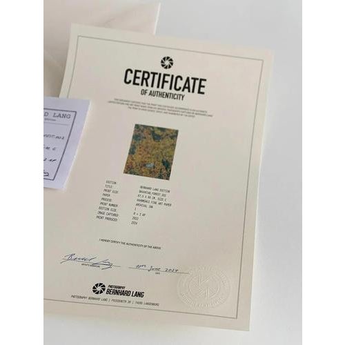 Red Bernhard Lang, Bavarian_Forest_02, Photograph For Sale - Image 8 of 9