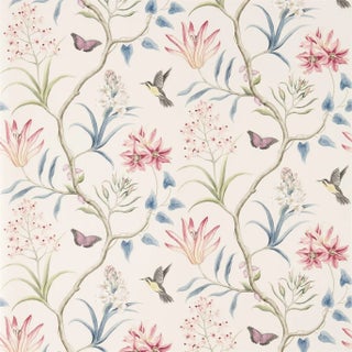 Sanderson Clementine Wallpaper in Indienne - a Sample For Sale