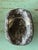 Vintage Italian Scagliola Pigmented Plaster Turtle Shell For Sale In West Palm - Image 6 of 12