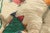 Vintage Azilal Moroccan Rug, 05'02 X 08'09 For Sale In Dallas - Image 6 of 10
