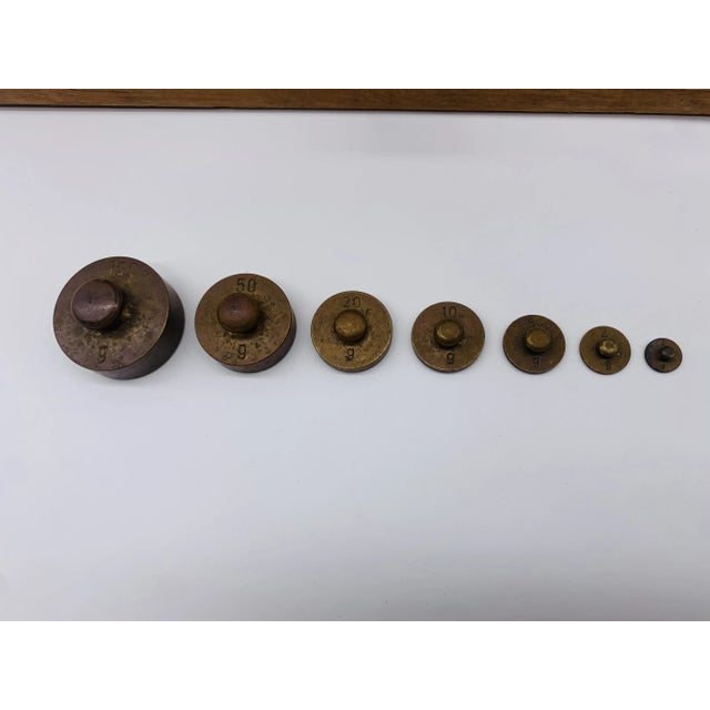 Precision Scales from Schula Goldschmied, 1940s, Set of 13 For Sale - Image 12 of 13