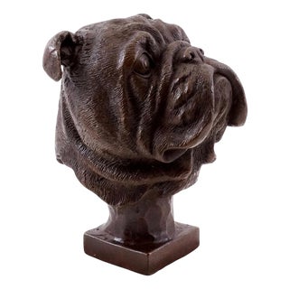 French Bulldog Head Sculpture in Bronze, 20th Century For Sale