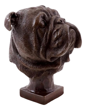 French Bulldog Head Sculpture in Bronze, 20th Century