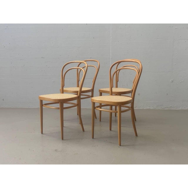 Bentwood Chair with Viennese Caning by Michael Thonet for Wohnbedarf, 1960s For Sale - Image 18 of 18