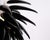 2000 - 2009 Aloe Blossom Large Anniversary Pendant Light with Black Porcelain Leaves by Jeremy Cole, 2004 For Sale - Image 5 of 15