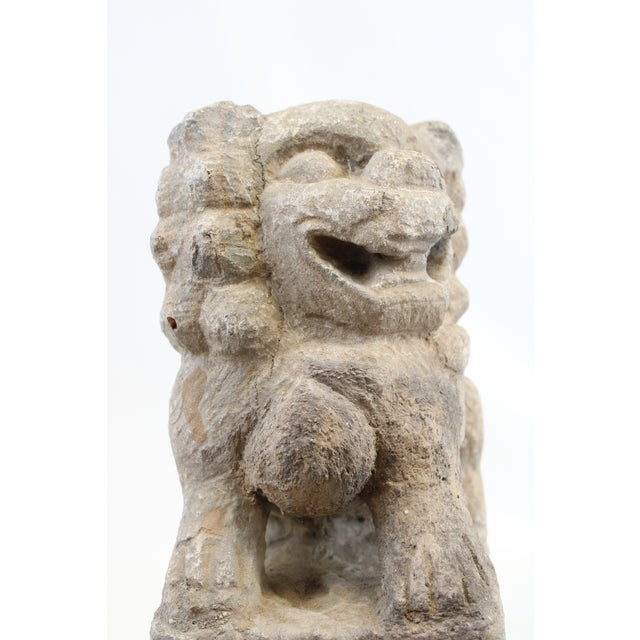 Foo Dog Statue For Sale - Image 12 of 13
