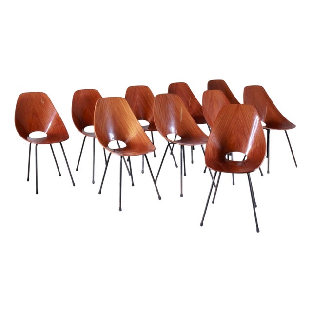 Medea Chairs by Vittorio Nobili for Fratelli Tagliabue, 1960s, Set of 10 For Sale