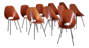 Medea Chairs by Vittorio Nobili for Fratelli Tagliabue, 1960s, Set of 10