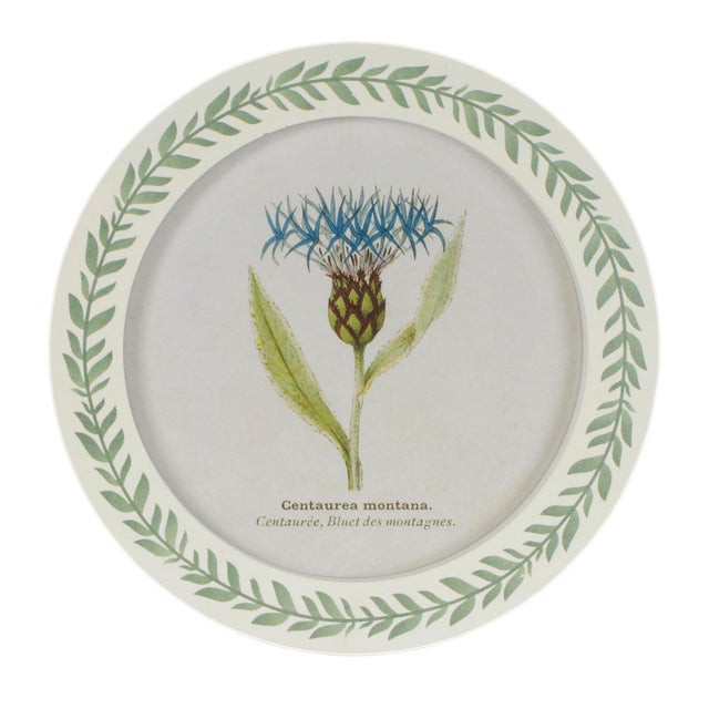 Round Framed Encyclopedia Floral Print (Set of 6) For Sale In Chicago - Image 6 of 7