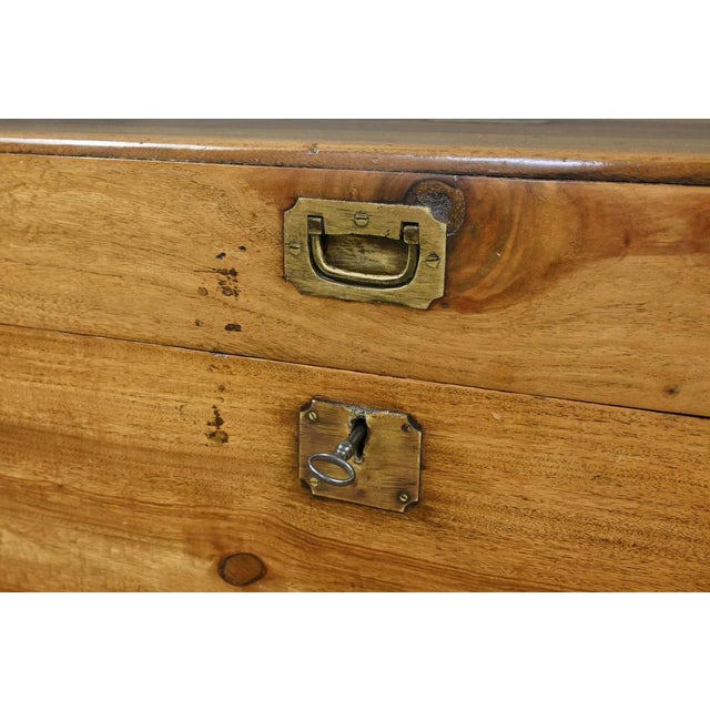 Camphorwood Marine Trunk, 1800s For Sale - Image 11 of 18