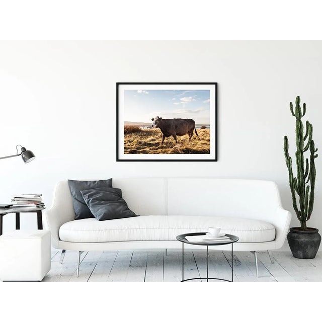 'Brown Cow' Contemporary English Landscape Fine Art Photography Print, Pastoral Art, Large 45 X 30" Bovine Artwork For Sale In Boston - Image 6 of 8