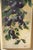 Anita, Still Life Cherries and Plums, 1920, Oil on Panel For Sale - Image 17 of 18