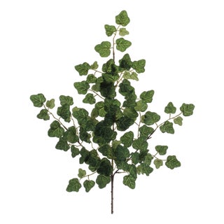 Ivy Foliage Spray (Set of 6) For Sale