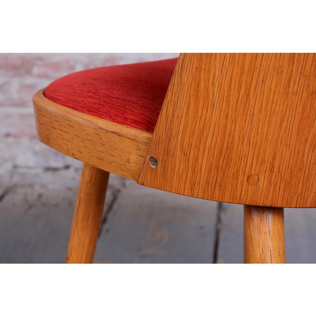 Oswald Haerdtl Mid-Century Beech Chairs by O. Haerdtl, Czech, 1950s, Set of 4 For Sale - Image 4 of 18