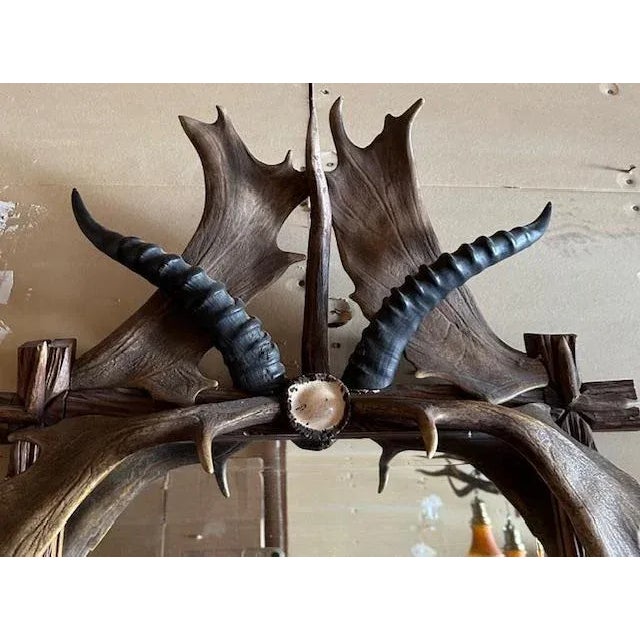Antique German Antler Mirror With Carved Dog and Rosettes, Trophy-Style For Sale In Aspen - Image 6 of 6