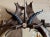 Antique German Antler Mirror With Carved Dog and Rosettes, Trophy-Style For Sale In Aspen - Image 6 of 6