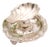 Shell-Shaped Ring on Ball and Embossed Base For Sale