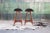 Oddense Maskinsnedkeri Pair of Danish Mid Century 1960s Teak Bar Stools Mod. 61 by Erik Buch Denmark For Sale - Image 4 of 11