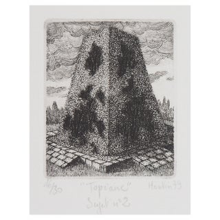 François Houtin, Le Buisson, 1979, Original Etching For Sale