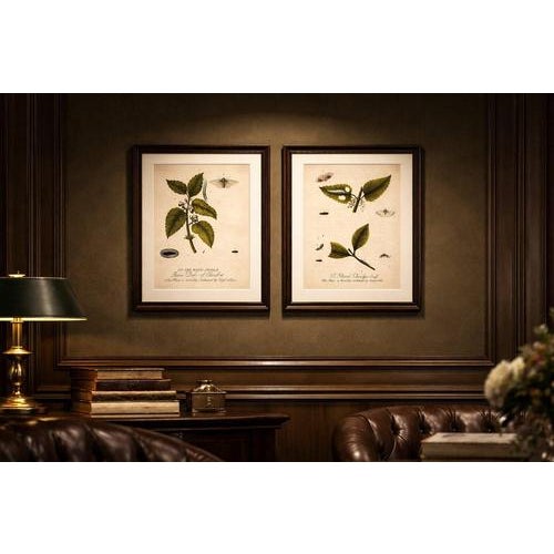 Early 18th Century Albin, Entomology Plates of English Insects on Hazel & Elm, 1720, Engravings, Set of 2 For Sale - Image 5 of 10