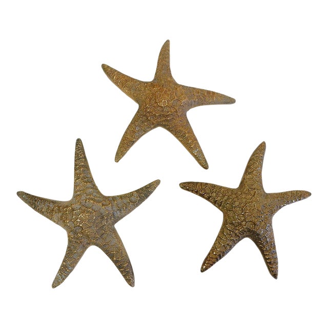 Vintage Brass Starfish Sculpture Set Natural Specimen Art, Korea 1960's For Sale
