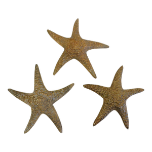 Vintage Brass Starfish Sculpture Set Natural Specimen Art, Korea 1960's