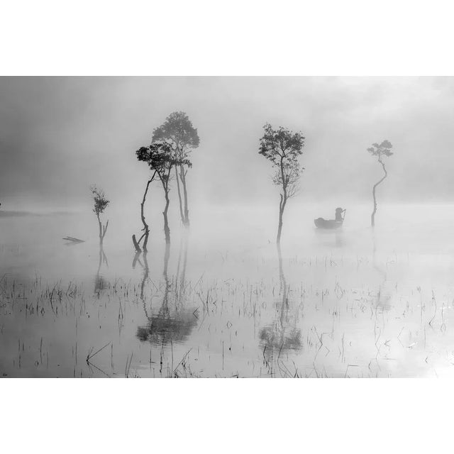 Khanh Bui, Beauty Flooded Forests Reflection on the Mist Lake, Photographic Paper, in Flawless conditions. Designed from...