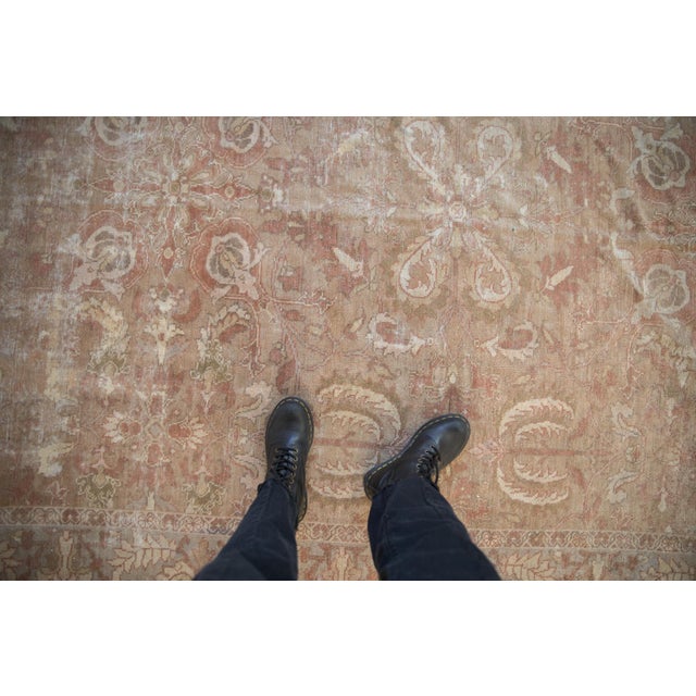 :: Covered field of serrated leaf willow tree style designs with pomegranate germinating plants, blossom cross-sections,...