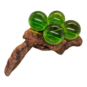 Vintage Large Acrylic Lucite Grapes Green Cluster on Driftwood