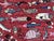 2000 - 2009 Hand-Knotted Pictorial Fish Runner on Red Ground, 2'8" X 8'0" For Sale - Image 5 of 9