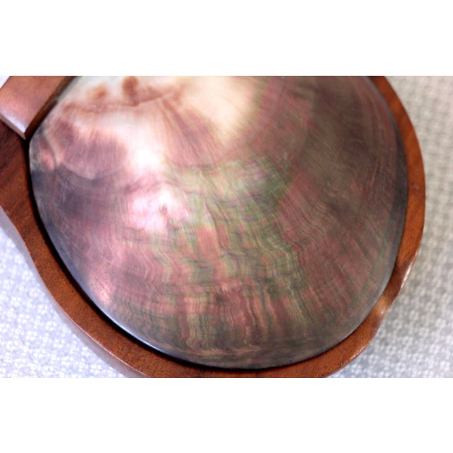 Alexandre Noll 1960s Wooden Shell Box Attributed to Alexander Noll For Sale - Image 4 of 10