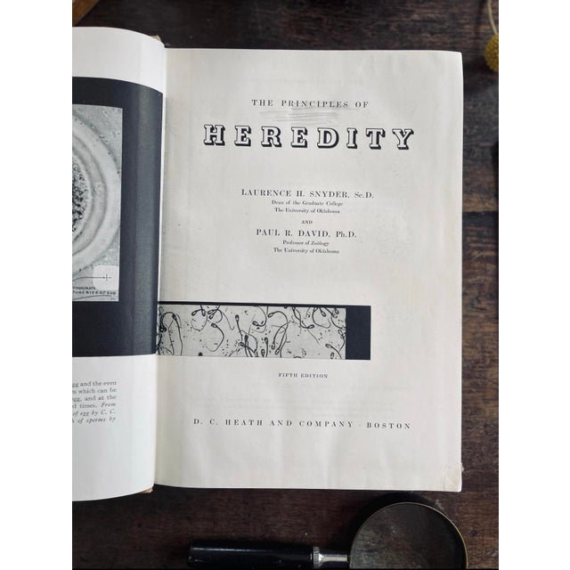 Tan 1957 the Principles of Heredity For Sale - Image 8 of 10