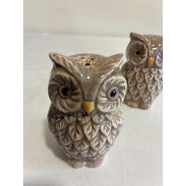 A charming pair of ceramic owl salt and pepper shakers with brown and cream glazing, sculpted feather details, prominent...