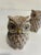 A charming pair of ceramic owl salt and pepper shakers with brown and cream glazing, sculpted feather details, prominent...