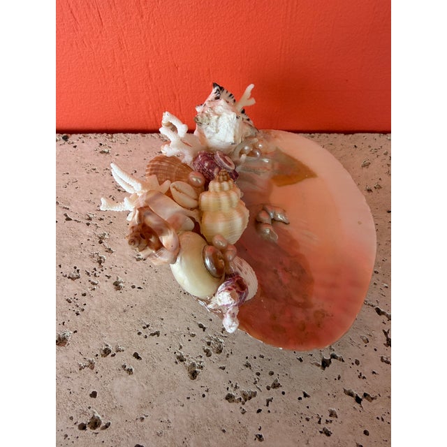 Christa's South Seashells CSS Seashell "What-Not" Oyster Dish For Sale - Image 4 of 6