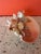 Christa's South Seashells CSS Seashell "What-Not" Oyster Dish For Sale - Image 4 of 6
