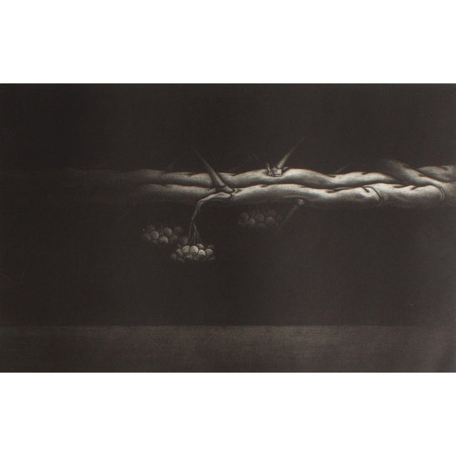 Contemporary 1979 “111th Landscape” Mezzotint Print by Kazuhisa Honda For Sale - Image 3 of 6