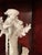 Derby Porcelain Rare Derby Porcelain Figural Group-Circa 1790, Authenticated by Albert Amor Porcelain, Ltd, London For Sale - Image 4 of 6