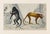 Realism 19th Century Antique English Monkey Engraving For Sale - Image 3 of 5
