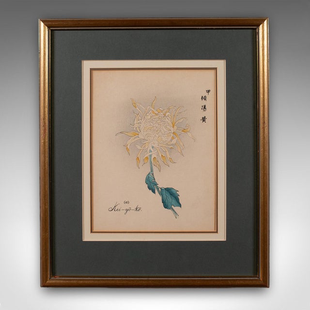 Japanese 3 Vintage Botanical Pictures, Japanese, Woodblock Print, After Hasegawa, Art For Sale - Image 3 of 12