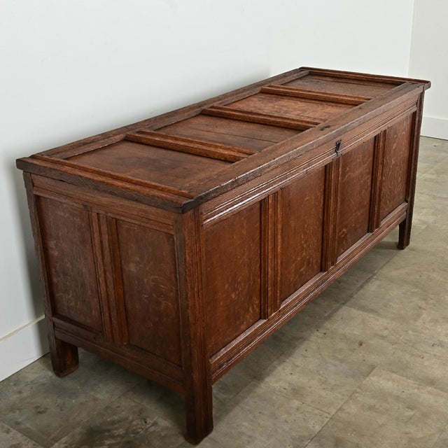 19th Century Dutch 19th Century Oak Paneled Coffer For Sale - Image 5 of 8