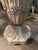 Antique Buff Terracotta English Urns, 1880, Set of 2 For Sale - Image 17 of 18
