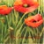 Poppies 2 - Original Botanical Floral Watercolor Painting on Paper For Sale In Los Angeles - Image 6 of 6