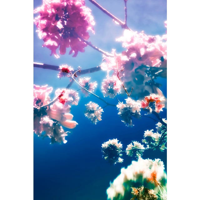 Meeting You in the Garden, 48x32 Limited Edition Photograph by Kristin Hart For Sale