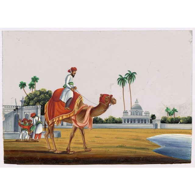 Indian Company School, Government Messenger on a Camel, 1800s, Gouache Paper For Sale - Image 6 of 9
