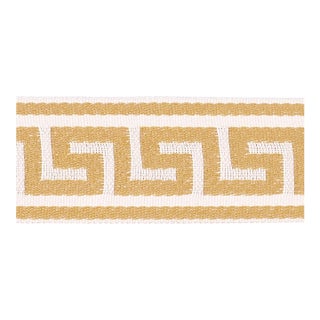 Schumacher Ganton Tape Indoor/Outdoor In Yellow For Sale