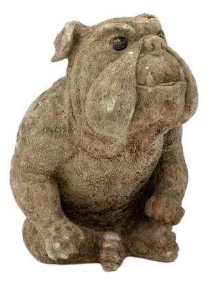 English Bulldog Garden Statue, English Mid 20th C.