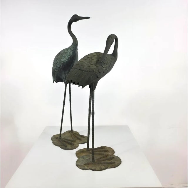 Olive Bronze Crane Birds, 1970s, Set of 2 For Sale - Image 8 of 15